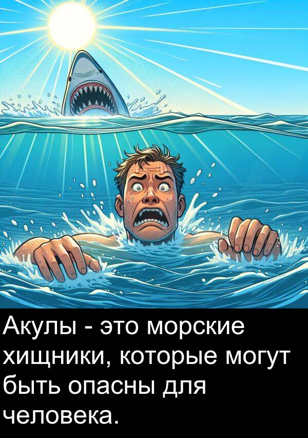 которые: Акулы - это морские хищники, которые могут быть опасны для человека.
