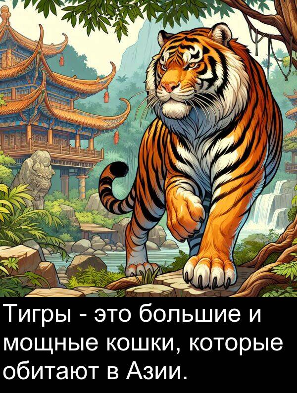 которые: Тигры - это большие и мощные кошки, которые обитают в Азии.