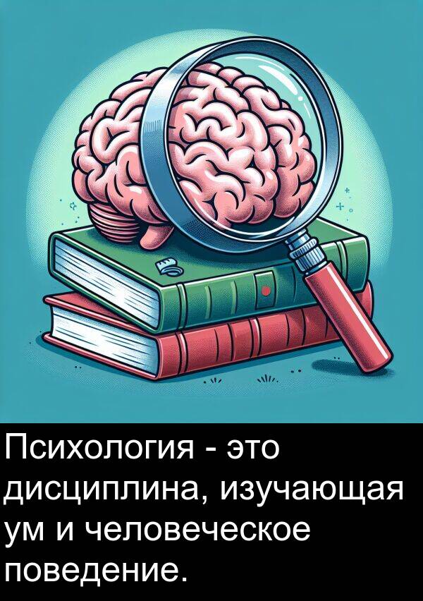 человеческое: Психология - это дисциплина, изучающая ум и человеческое поведение.