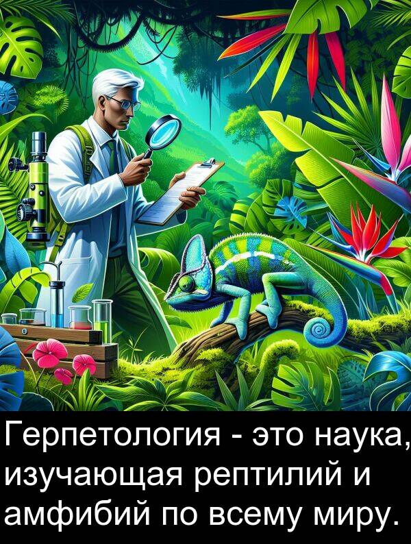 всему: Герпетология - это наука, изучающая рептилий и амфибий по всему миру.