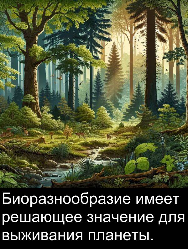 выживания: Биоразнообразие имеет решающее значение для выживания планеты.