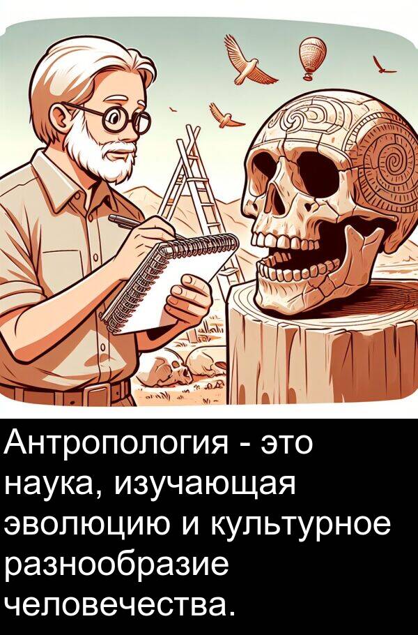 эволюцию: Антропология - это наука, изучающая эволюцию и культурное разнообразие человечества.