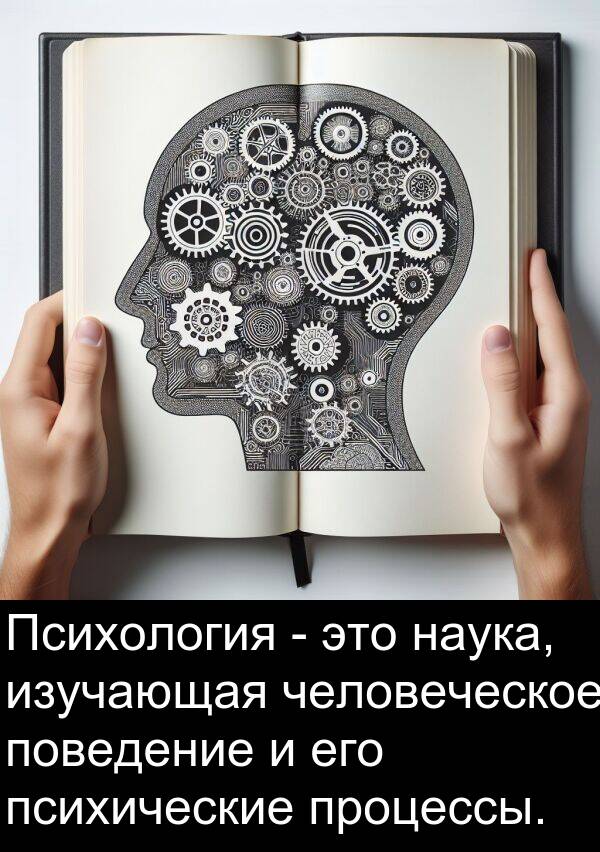 процессы: Психология - это наука, изучающая человеческое поведение и его психические процессы.