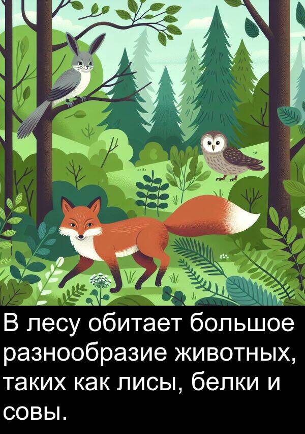 таких: В лесу обитает большое разнообразие животных, таких как лисы, белки и совы.