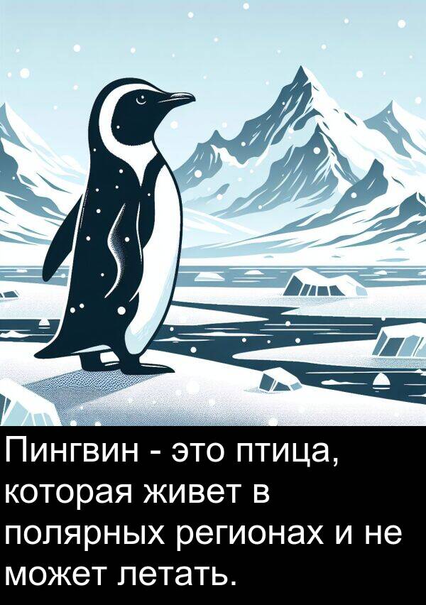 полярных: Пингвин - это птица, которая живет в полярных регионах и не может летать.
