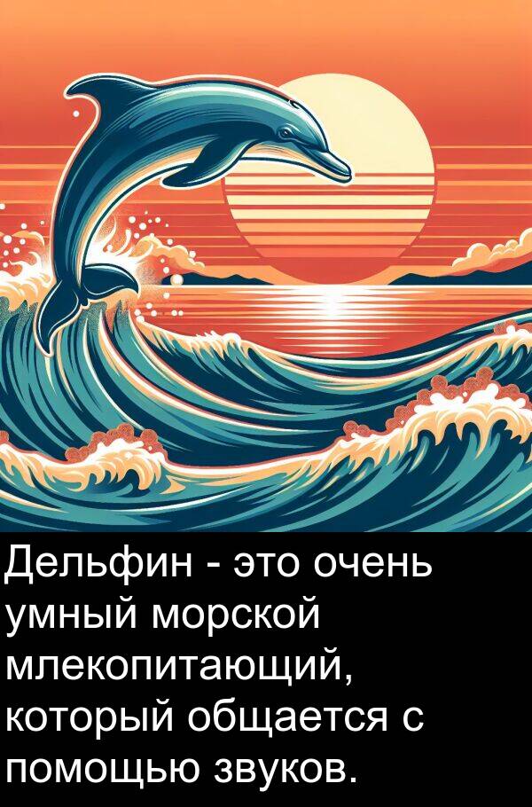 умный: Дельфин - это очень умный морской млекопитающий, который общается с помощью звуков.