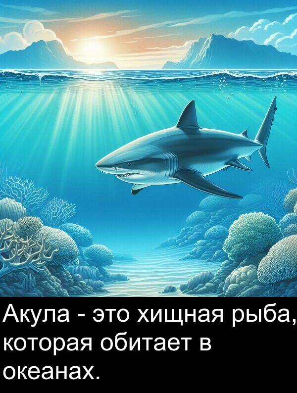 хищная: Акула - это хищная рыба, которая обитает в океанах.