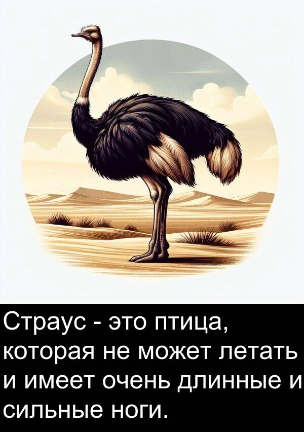 ноги: Страус - это птица, которая не может летать и имеет очень длинные и сильные ноги.
