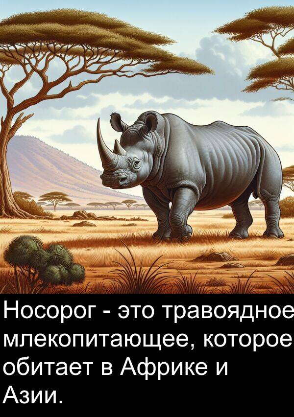которое: Носорог - это травоядное млекопитающее, которое обитает в Африке и Азии.