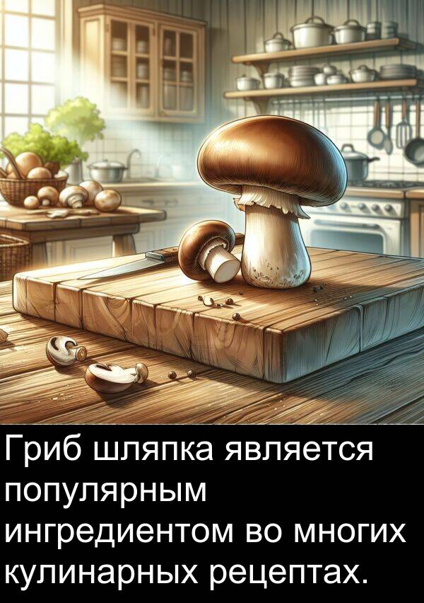 кулинарных: Гриб шляпка является популярным ингредиентом во многих кулинарных рецептах.