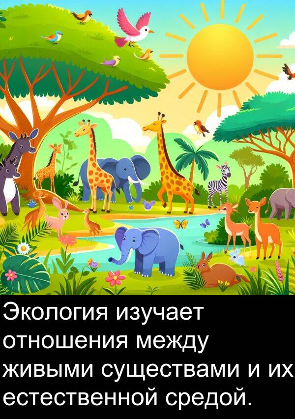 средой: Экология изучает отношения между живыми существами и их естественной средой.