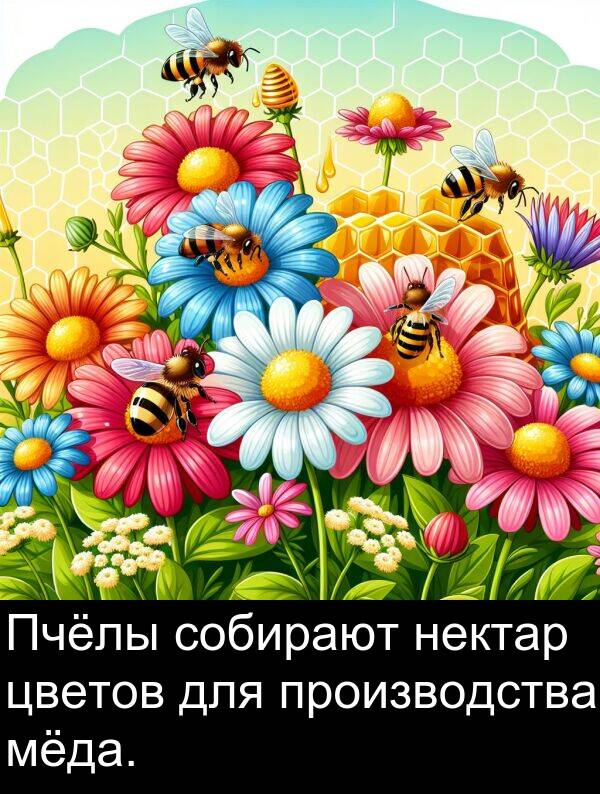 производства: Пчёлы собирают нектар цветов для производства мёда.