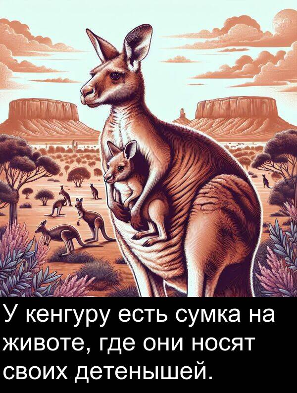 кенгуру: У кенгуру есть сумка на животе, где они носят своих детенышей.