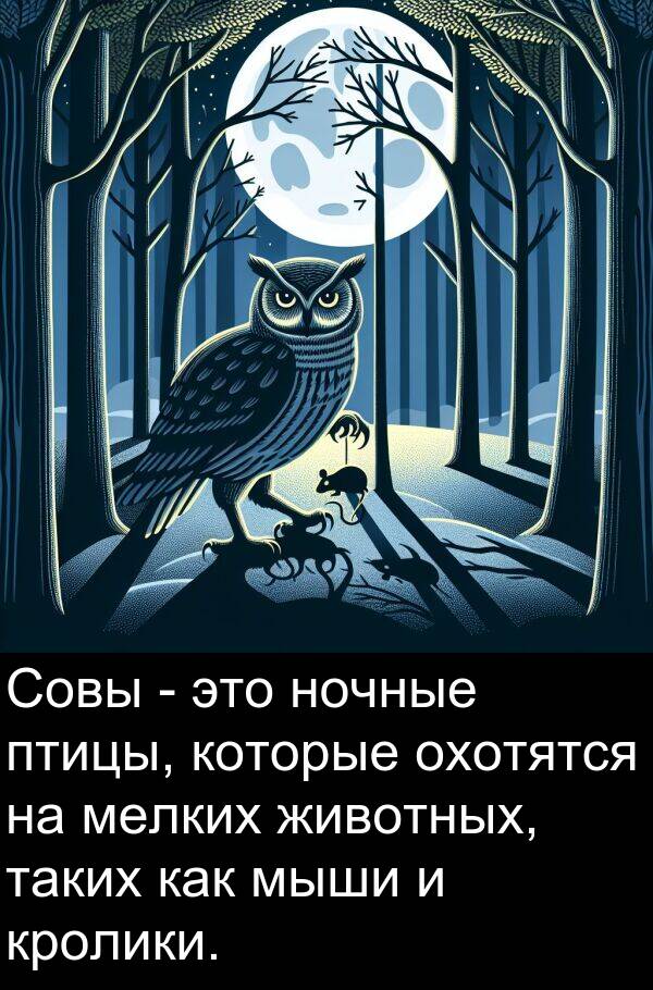 кролики: Совы - это ночные птицы, которые охотятся на мелких животных, таких как мыши и кролики.