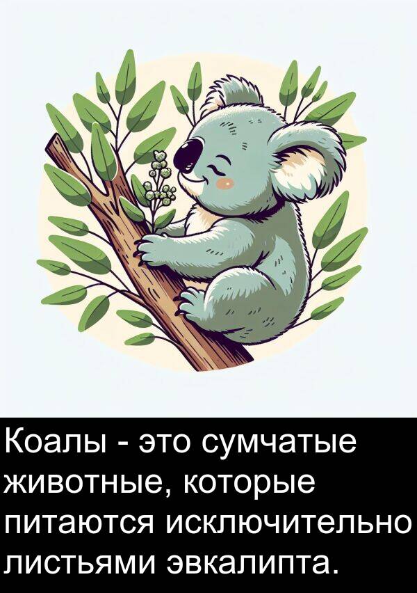 сумчатые: Коалы - это сумчатые животные, которые питаются исключительно листьями эвкалипта.
