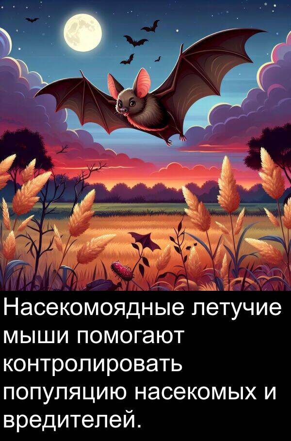 контролировать: Насекомоядные летучие мыши помогают контролировать популяцию насекомых и вредителей.