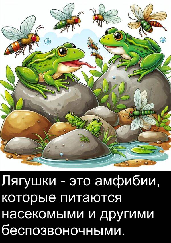 насекомыми: Лягушки - это амфибии, которые питаются насекомыми и другими беспозвоночными.