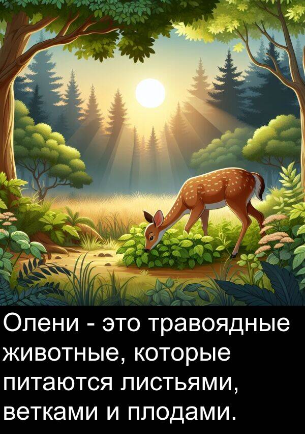 ветками: Олени - это травоядные животные, которые питаются листьями, ветками и плодами.