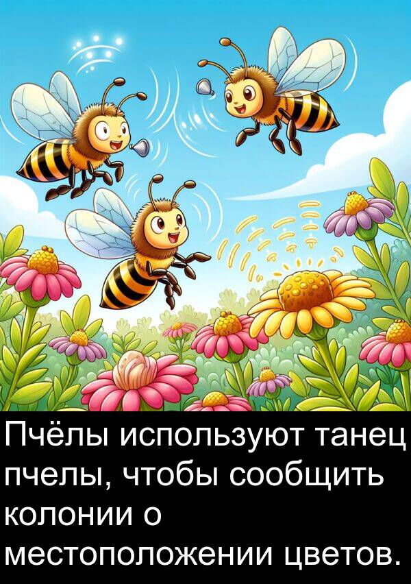 колонии: Пчёлы используют танец пчелы, чтобы сообщить колонии о местоположении цветов.