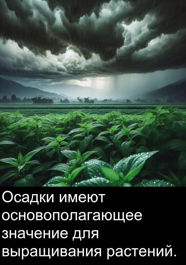 выращивания: Осадки имеют основополагающее значение для выращивания растений.