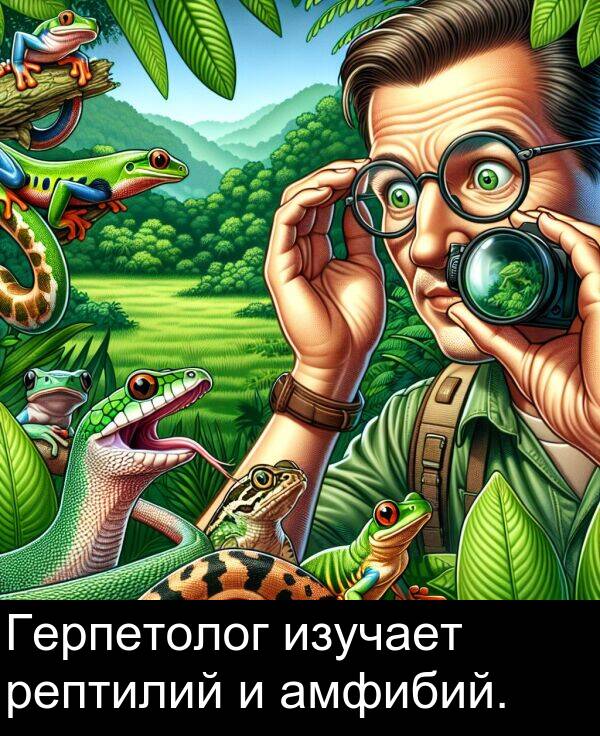 амфибий: Герпетолог изучает рептилий и амфибий.