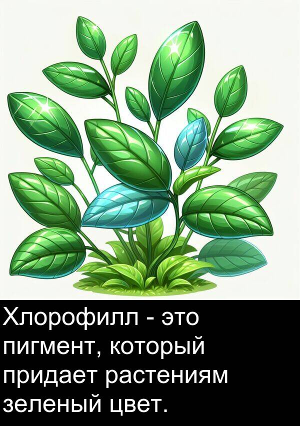 который: Хлорофилл - это пигмент, который придает растениям зеленый цвет.