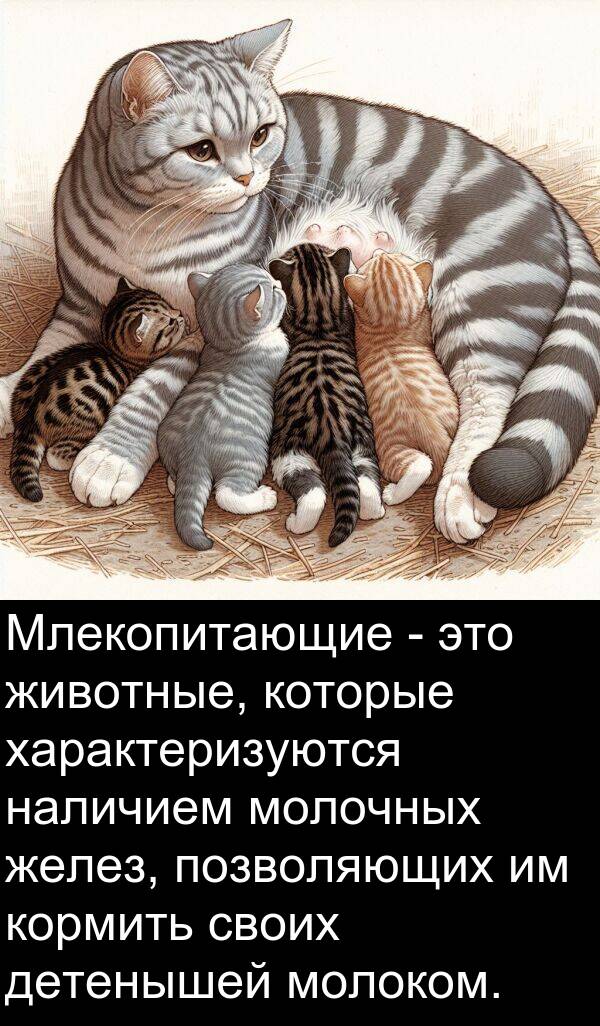 кормить: Млекопитающие - это животные, которые характеризуются наличием молочных желез, позволяющих им кормить своих детенышей молоком.