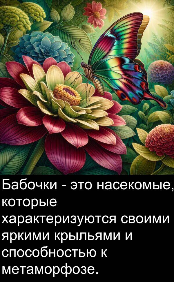 крыльями: Бабочки - это насекомые, которые характеризуются своими яркими крыльями и способностью к метаморфозе.