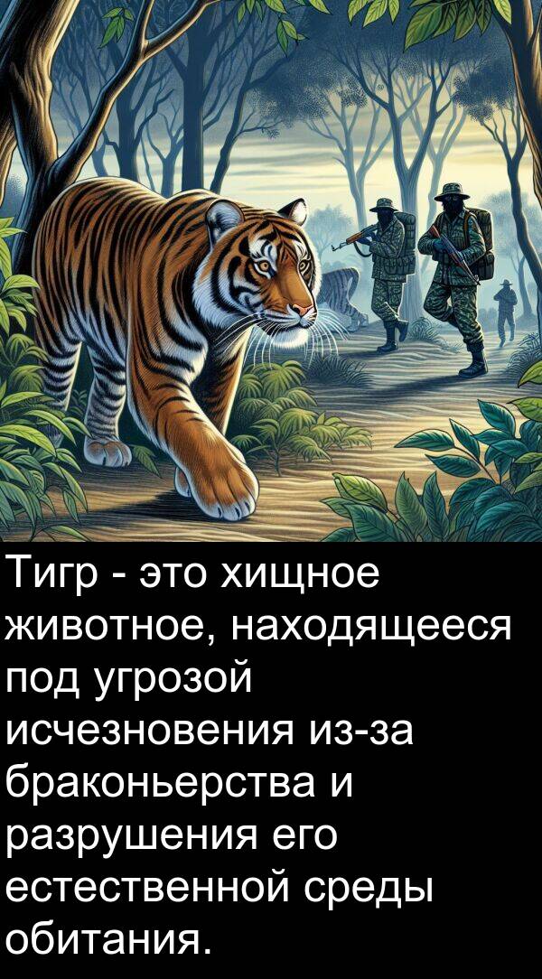 животное: Тигр - это хищное животное, находящееся под угрозой исчезновения из-за браконьерства и разрушения его естественной среды обитания.