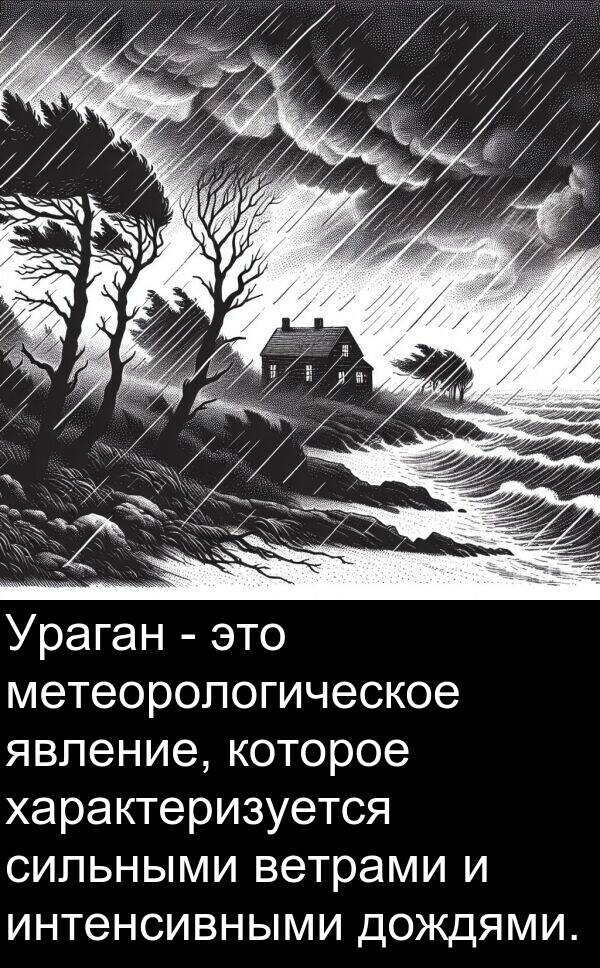 явление: Ураган - это метеорологическое явление, которое характеризуется сильными ветрами и интенсивными дождями.