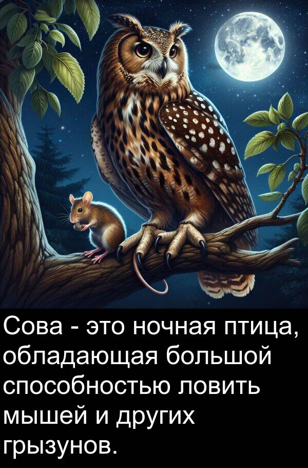 способностью: Сова - это ночная птица, обладающая большой способностью ловить мышей и других грызунов.