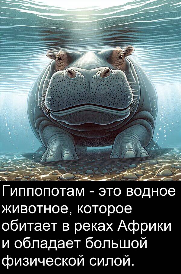 обладает: Гиппопотам - это водное животное, которое обитает в реках Африки и обладает большой физической силой.