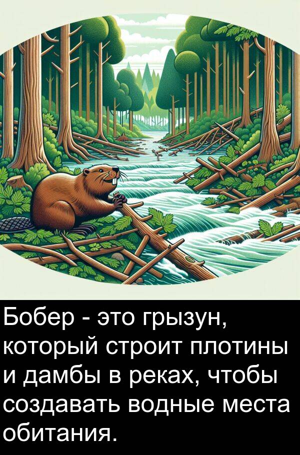 строит: Бобер - это грызун, который строит плотины и дамбы в реках, чтобы создавать водные места обитания.
