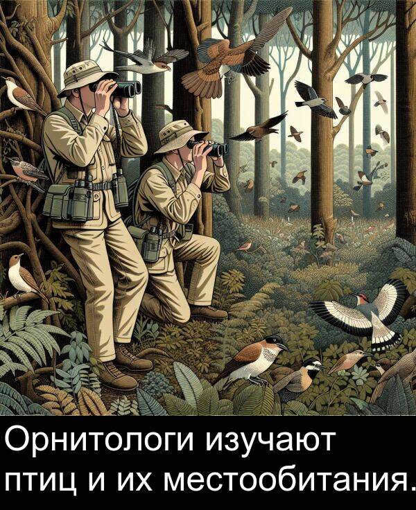 местообитания: Орнитологи изучают птиц и их местообитания.