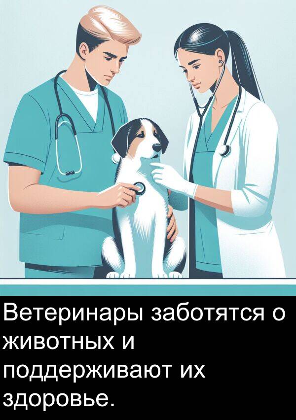 животных: Ветеринары заботятся о животных и поддерживают их здоровье.