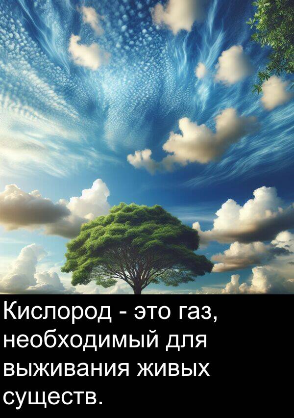 выживания: Кислород - это газ, необходимый для выживания живых существ.