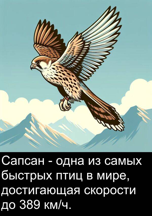 быстрых: Сапсан - одна из самых быстрых птиц в мире, достигающая скорости до 389 км/ч.