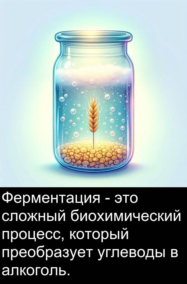 преобразует: Ферментация - это сложный биохимический процесс, который преобразует углеводы в алкоголь.