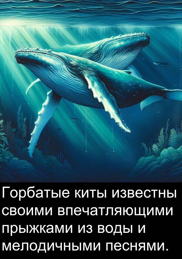 киты: Горбатые киты известны своими впечатляющими прыжками из воды и мелодичными песнями.
