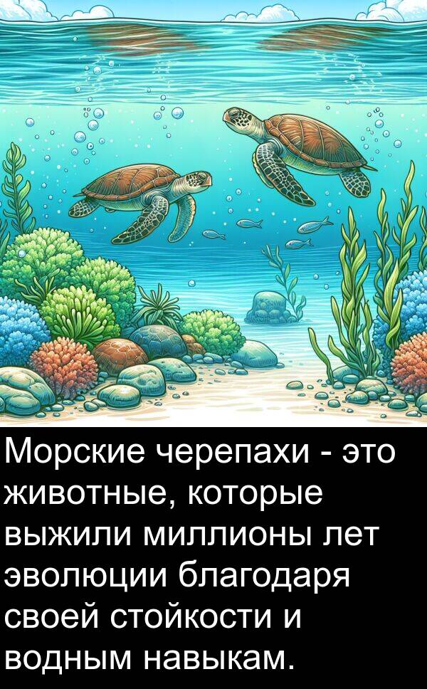 выжили: Морские черепахи - это животные, которые выжили миллионы лет эволюции благодаря своей стойкости и водным навыкам.