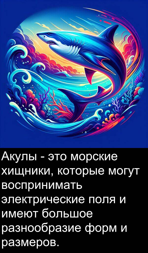 поля: Акулы - это морские хищники, которые могут воспринимать электрические поля и имеют большое разнообразие форм и размеров.