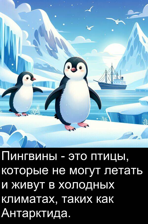 климатах: Пингвины - это птицы, которые не могут летать и живут в холодных климатах, таких как Антарктида.