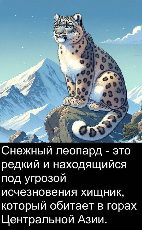 леопард: Снежный леопард - это редкий и находящийся под угрозой исчезновения хищник, который обитает в горах Центральной Азии.
