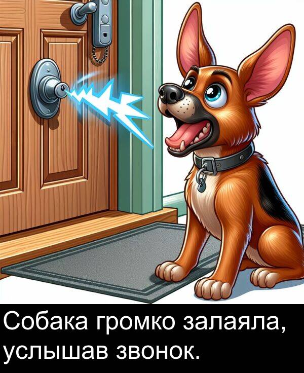 услышав: Собака громко залаяла, услышав звонок.