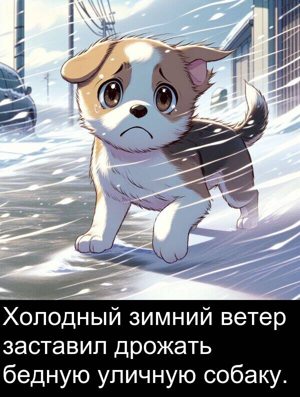ветер: Холодный зимний ветер заставил дрожать бедную уличную собаку.