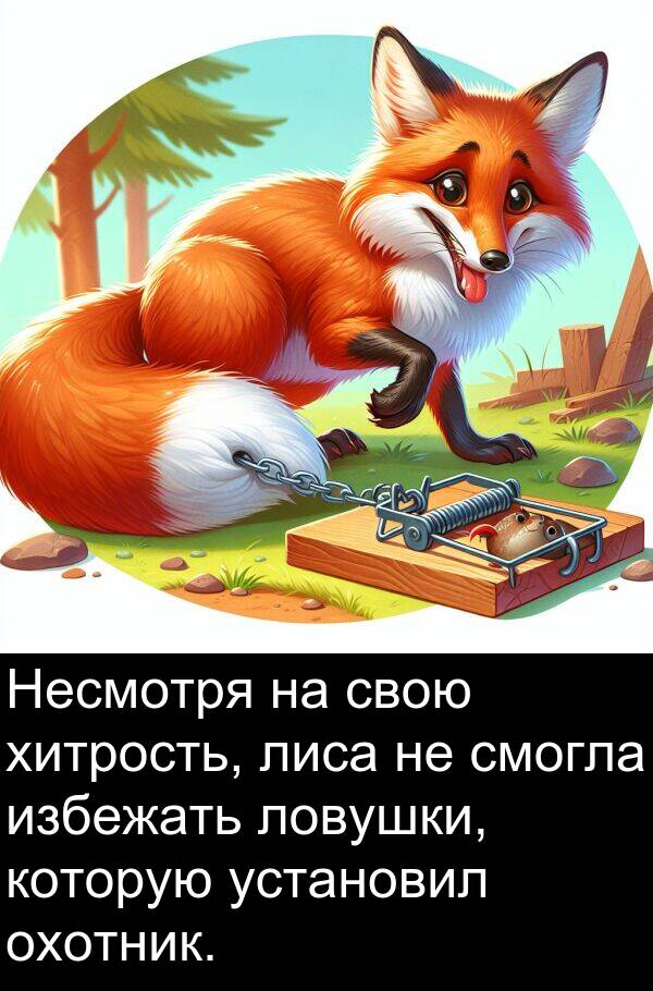 которую: Несмотря на свою хитрость, лиса не смогла избежать ловушки, которую установил охотник.