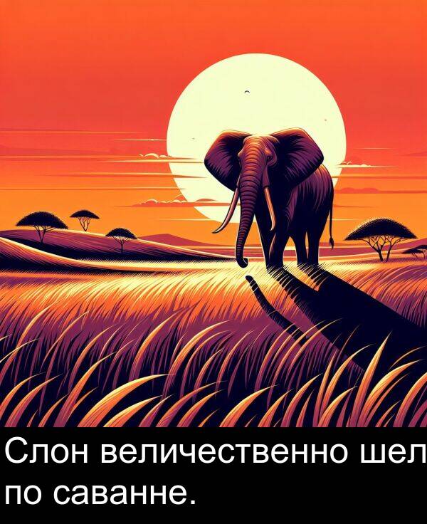 величественно: Слон величественно шел по саванне.