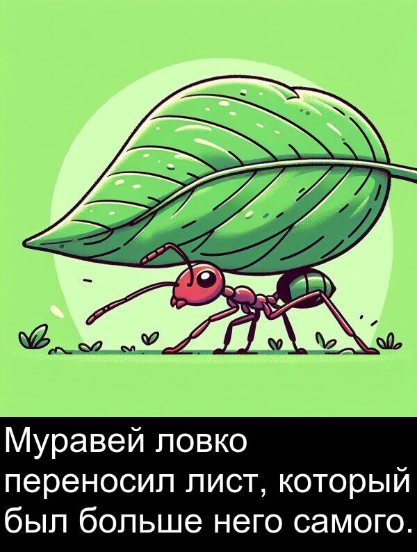 который: Муравей ловко переносил лист, который был больше него самого.