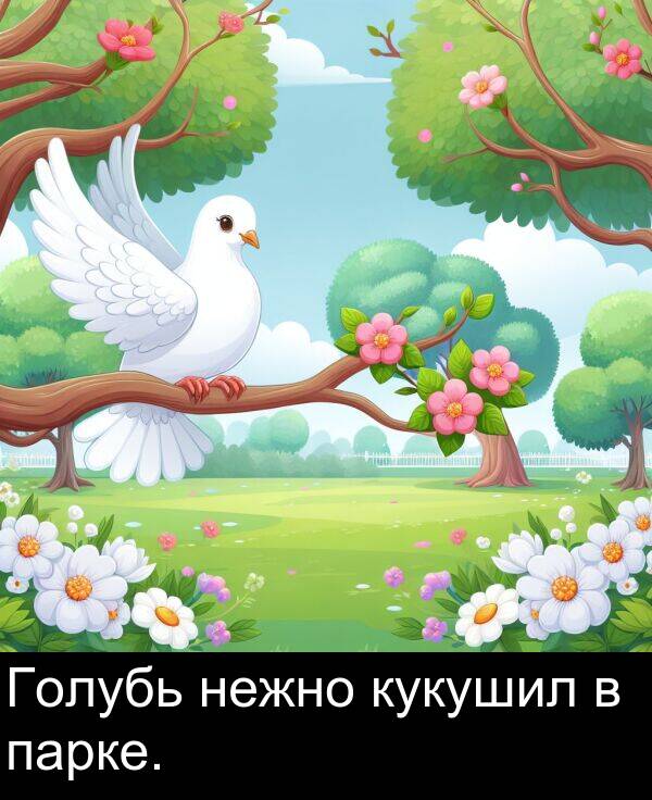 кукушил: Голубь нежно кукушил в парке.