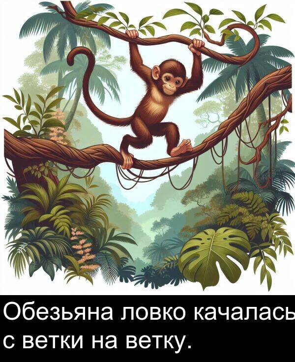 ветку: Обезьяна ловко качалась с ветки на ветку.